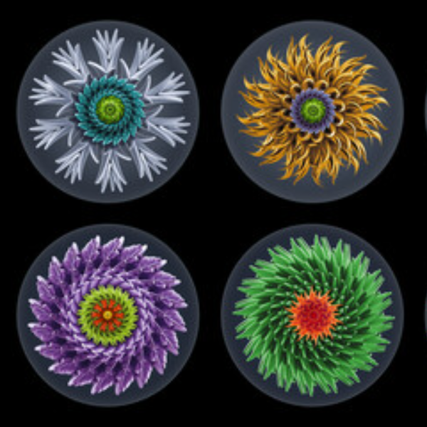 Colored Mandala