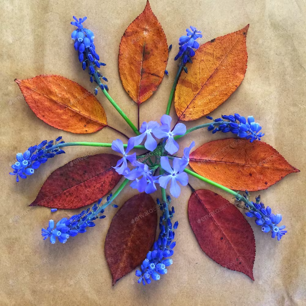 Nature of Mandala